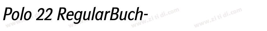 Polo 22 RegularBuch字体转换 Polo 22 RegularBuch字体转换